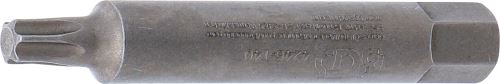 4246-T40.jpg