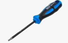 Šroubovák Torx T25 s diamantovou špičkou | délka dříku 100 mm BGS 4974 Šroubovák Torx T25 s diamantovou špičkou | délka dříku 100 mm BGS 4974