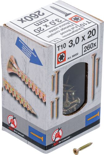 Univerzální vruty T-Star (Torx )  BGS
