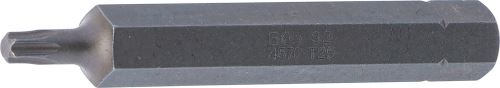 4570.jpg