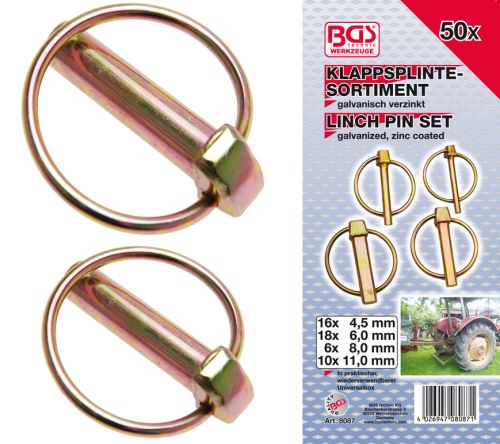 Sortiment  zajišťovacích kolíků,50 dílů - BGS 8087