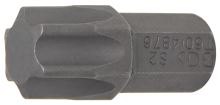 4876.jpg (10)