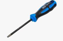 Šroubovák Torx T30 s diamantovou špičkou | délka dříku 100 mm BGS 4976 Šroubovák Torx T30 s diamantovou špičkou | délka dříku 100 mm BGS 4976