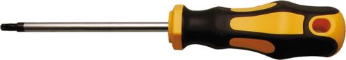 Šroubovák pro T-profil T25, ze sady 107844 – BGS 7844-T25
