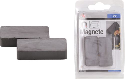 Magnety, keramika, 2 pcs. - BGS 79901