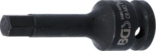 5481-M10.jpg