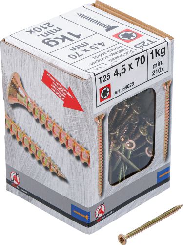 Univerzální vruty T-Star (Torx )  BGS