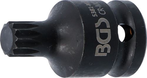 5381-M12.jpg
