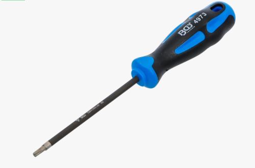 Šroubovák Torx T20 s diamantovou špičkou | délka dříku 100 mm BGS 4973